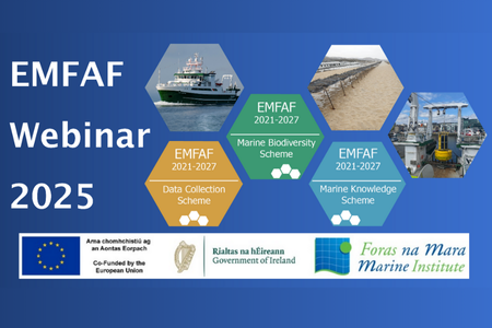 EMFAF webinar flyer with programme branding 