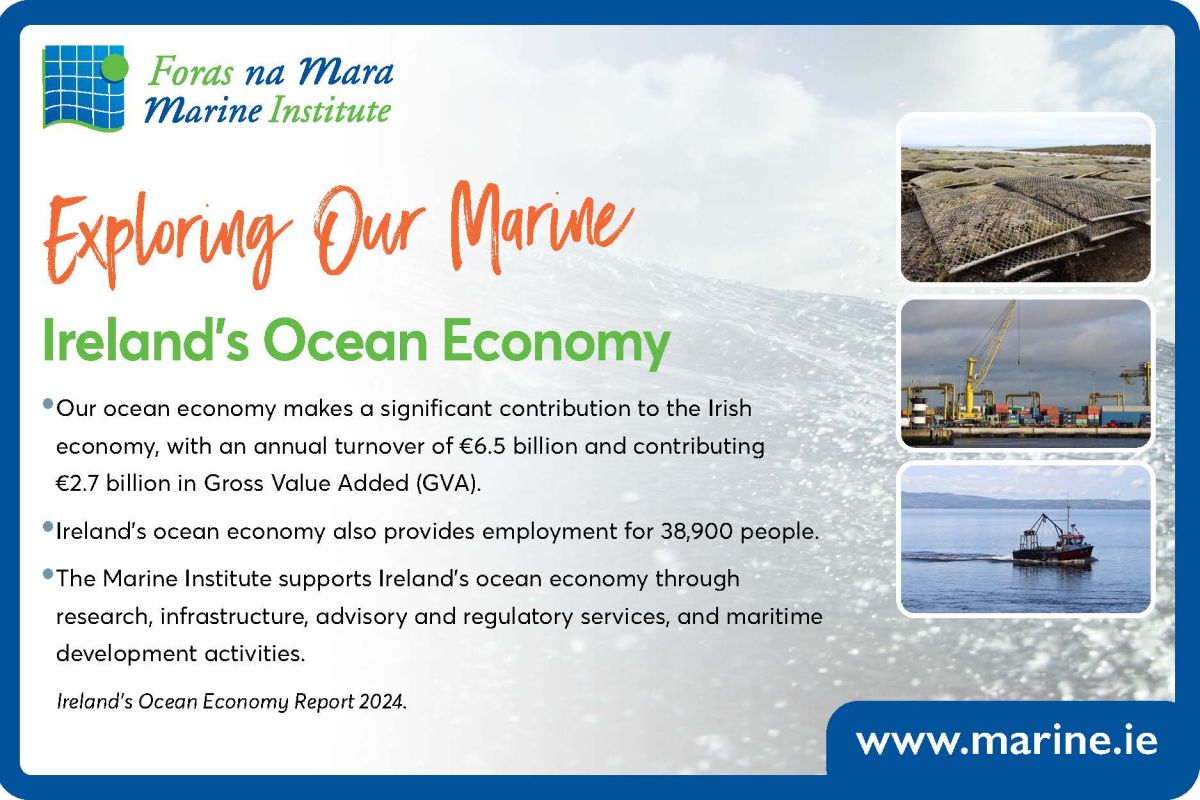 Exploring Our Marine with the Marine Institute - Ocean Economy