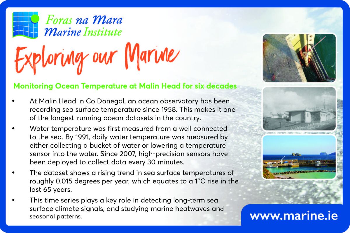 Exploring Our Marine with the Marine Institute - Malin Head Ocean Temperature