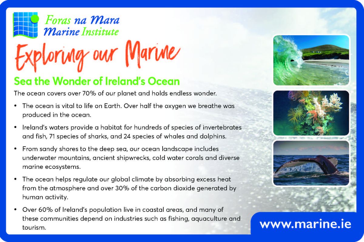 Exploring Our Marine with the Marine Institute - Sea the Wonder