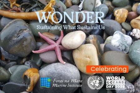 Marine Institute launches Sea The Wonder campaign to celebrate World Oceans Day 