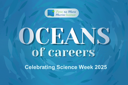 Ocean of Careere Campaign Flyer