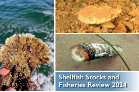 Shellfish Stocks and Fisheries Review 2024