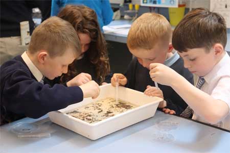 School pupils searching for invertebrates to look at under a microscope during their visit to the Newport Research Facility in Co. Mayo. 