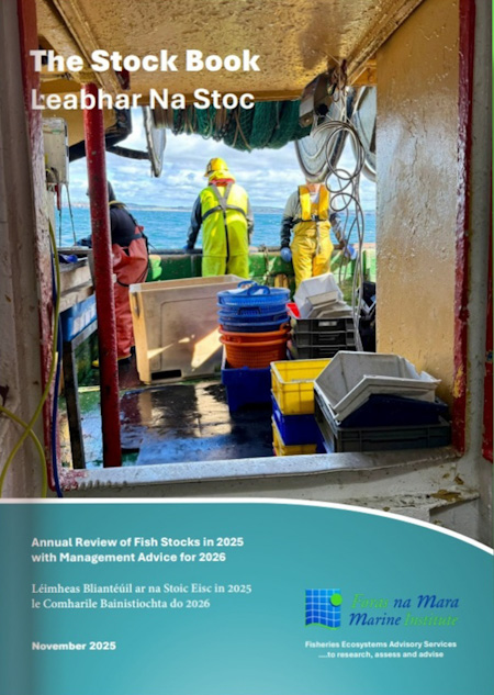 Stock Book 2025