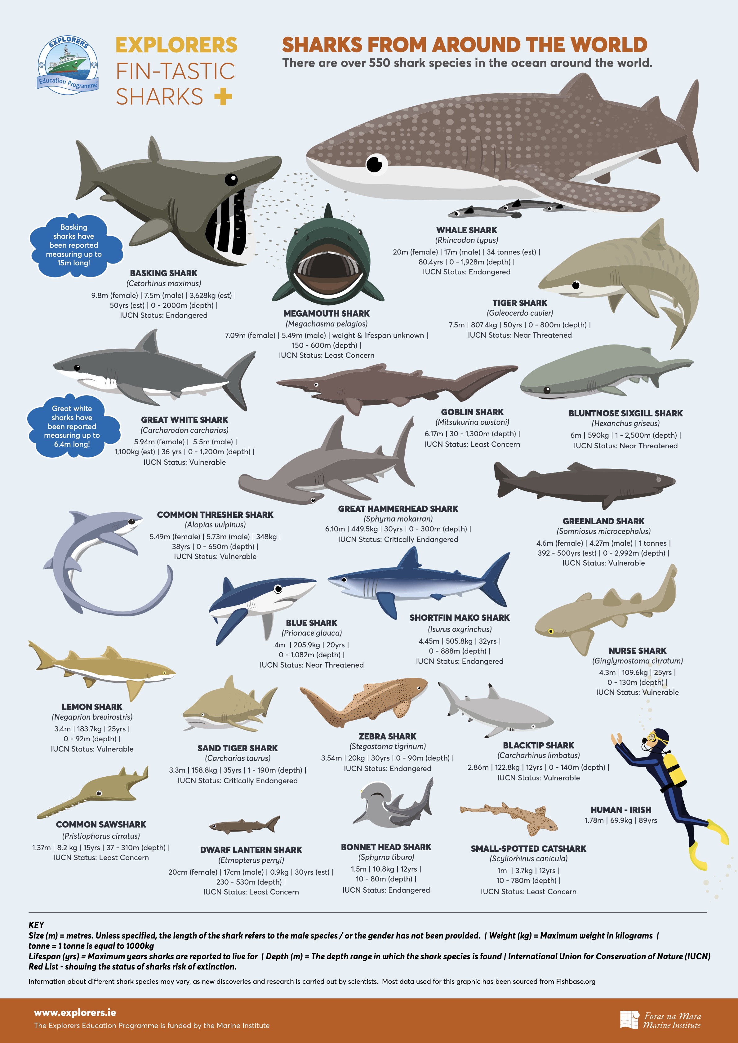 Sharks+ Poster