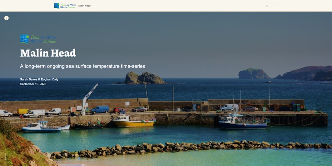 Malin Head Image