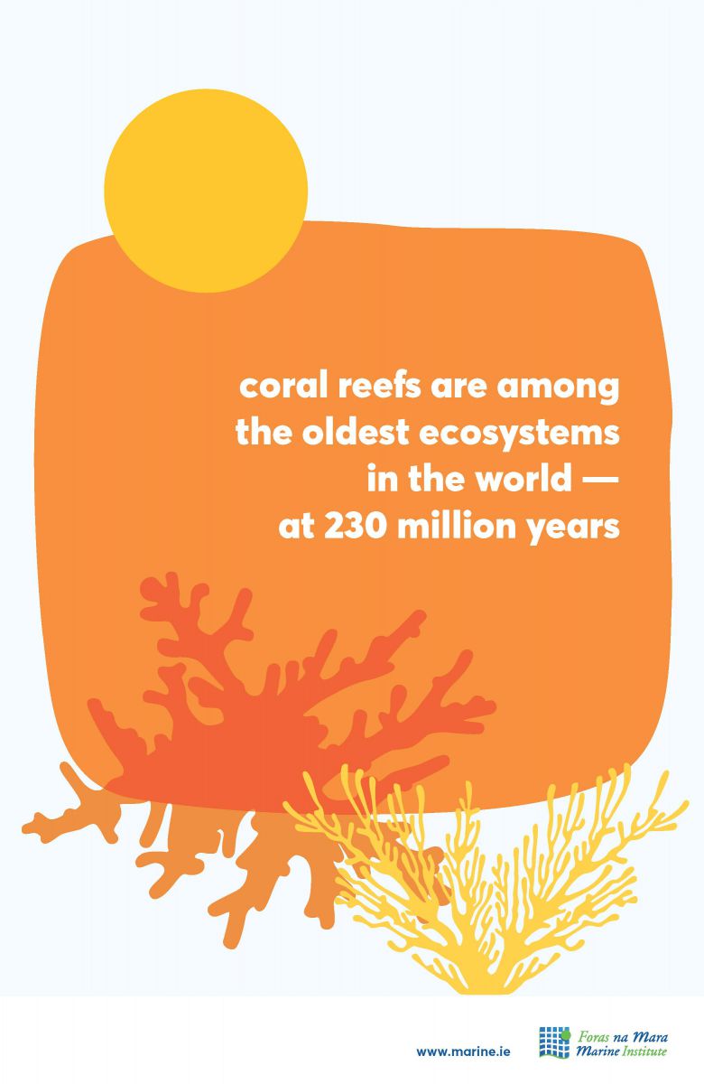 Coral Reefs marine fact