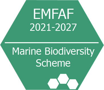 Marine Biodiversity Scheme image