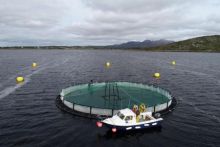 Ag láithreán taighde Linn de chuid Fhoras na Mara ag Leitheanach i mBá an Bheartraigh Bhuí, Gaillimh