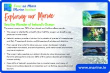 Exploring Our Marine with the Marine Institute - Sea the Wonder