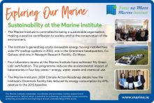 Exploring Our Marine with the Marine Institute - Sustainability