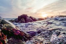 Shoreline Niall Meehan