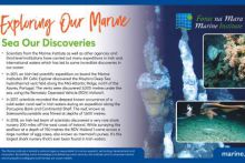 Exploring Our Marine - Sea Our Discoveries