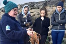 Dr Noirin Burke from the Explorers Education Programme introduces up to 50 fourth year pre-service teachers from Mary Immaculate College to teaching children about the wonders of the seashore on Grattan beach in Galway. Photo Anne Dolan.