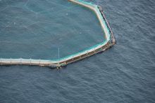 Aquaculture. Picture Credit to David Branigan.