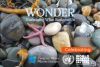 Marine Institute launches Sea The Wonder campaign to celebrate World Oceans Day 