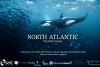North Atlantic Series. Picture Credit George Karbus Photography