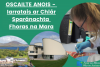 Tugtar cuireadh do mhic léinn cur isteach ar Chlár Scoláireachta Sparánachta Fhoras na Mara 