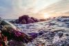 Shoreline Niall Meehan