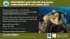 Explorers Turtle Talk with Sea Turtles for EMD in my Country 